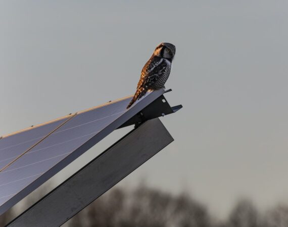 photo 1637100531574 0e1fe759994e