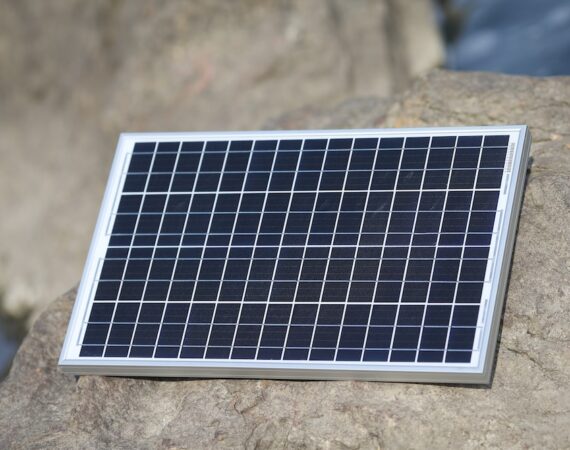 photo 1662078907809 b9e486757a0a