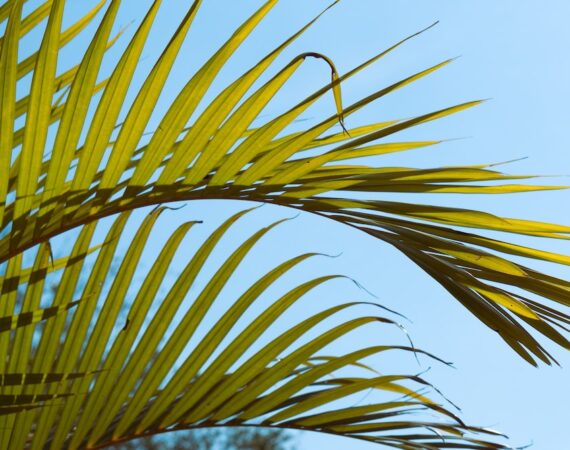 太陽能環保政策與激励措施:推動清潔能源發展的利器 1 photo 1680458841928 0ffceecf9651