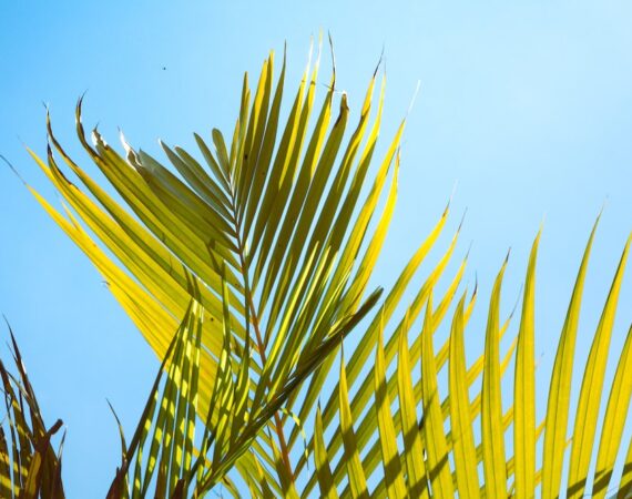 photo 1680458842068 66963fb38641