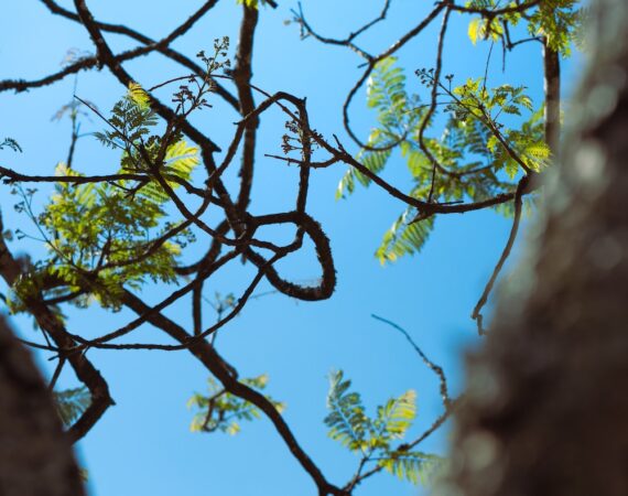 photo 1680458842138 fb0a5e04f7ba