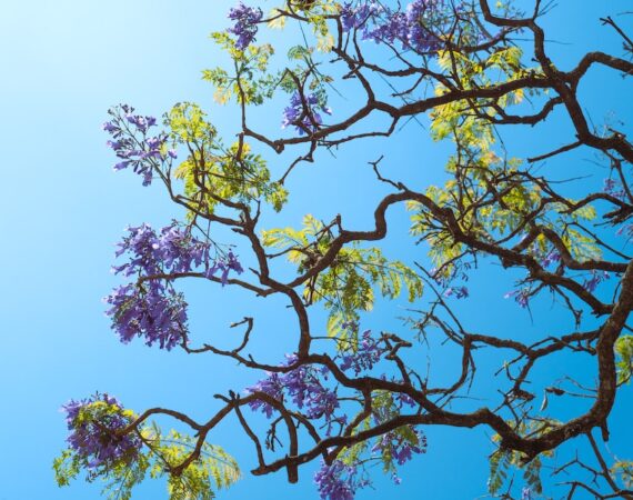 探索台灣太陽能政策在永續能源發展中的角色 4 photo 1680458842171 6dbeced420f6