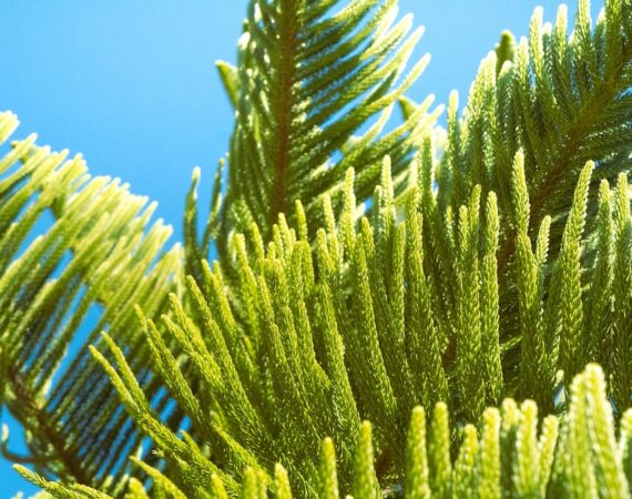 photo 1680458842215 41e6d45cd21e