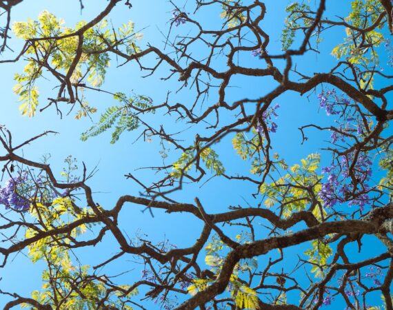 photo 1680458842367 0d47f573ca2b