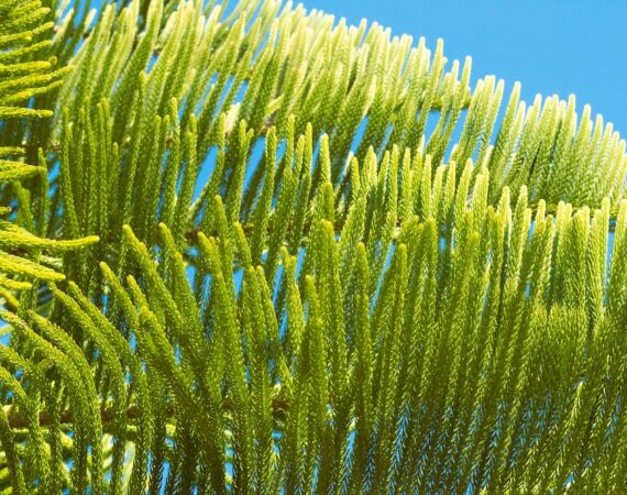 太陽能維護基本指南:確保系統運作順暢 1 photo 1680458842414 ae8bc9c90a1f