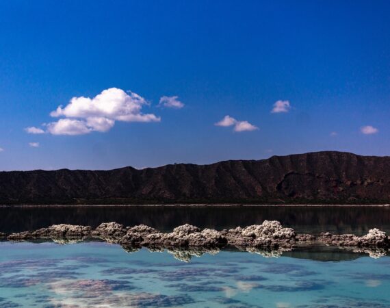 photo 1684344374591 e11e501f04e6