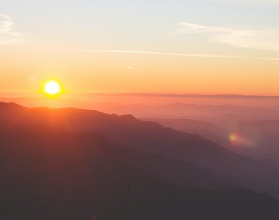 photo 1415750465391 51ed29b1e610