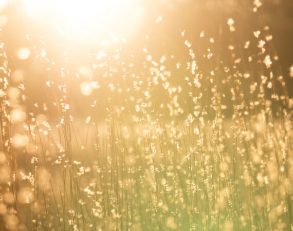 photo 1511836536898 6d6f1b8f6948