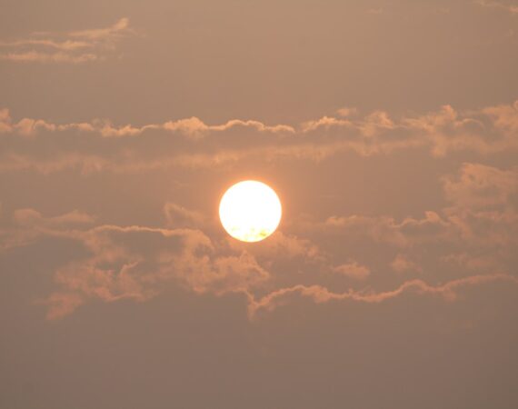 photo 1518614618743 9b0fba24eda6