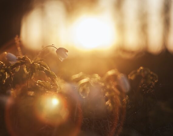 photo 1525863401638 02497b0b180c