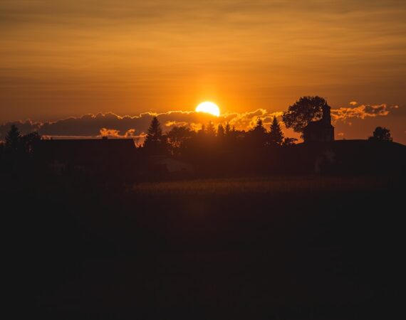 photo 1526066843114 f1623fde3476