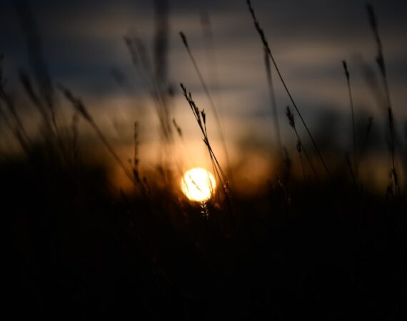 「瞭解太陽能生產的好處與挑戰」 5 photo 1542438116 6b644f1b460a