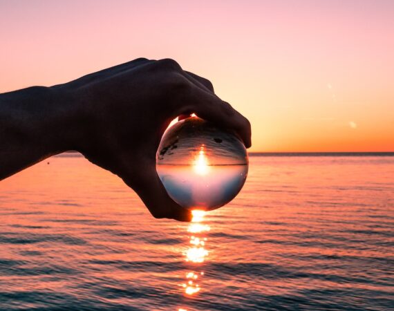 photo 1554311539 e6c3b34d926a