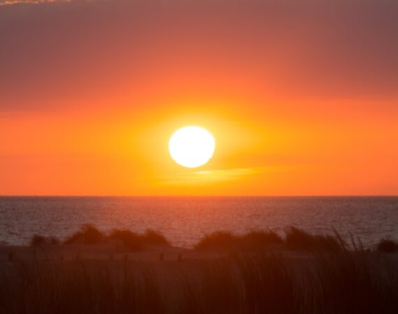 photo 1562177835 5c496dd50b0f