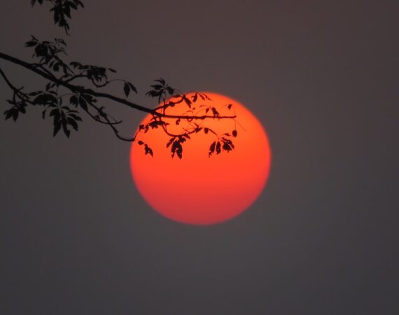 photo 1572065716657 c1f964c418cc