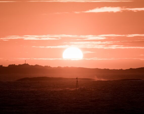 photo 1586775952056 8ff3b26d22df