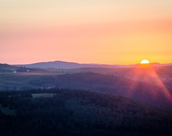 追蹤式太陽能系統:維護與優化方法 4 photo 1602838765655 8293ab9722dc