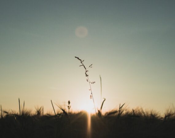 photo 1605994056230 9d073cd9e63f