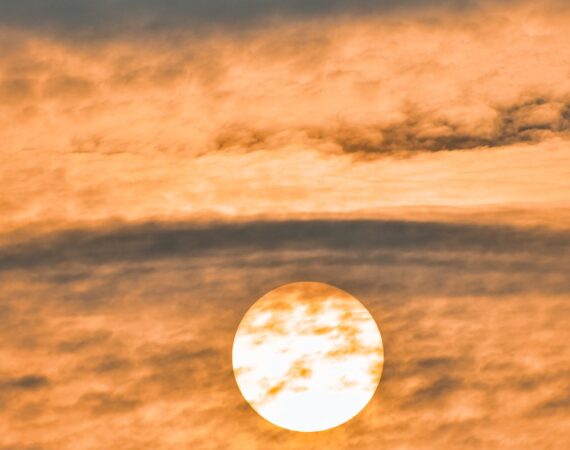 photo 1608658789985 03e8c625183f