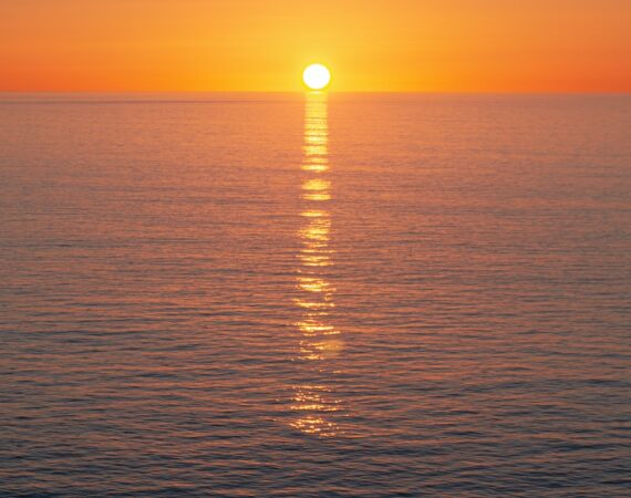 photo 1628668662346 a4c87a0e2a40