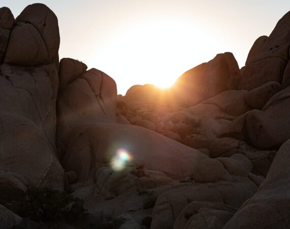 photo 1633124890741 a8ab5a6735a0