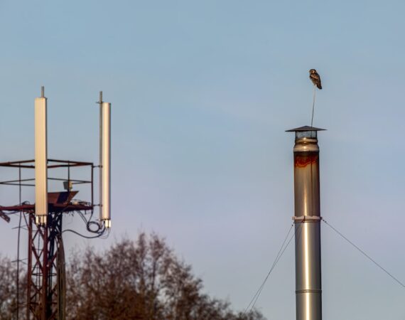 photo 1637100532365 5b16f422453f