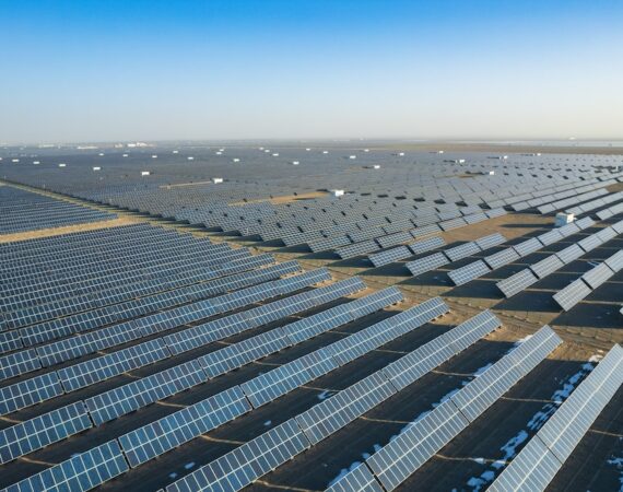 photo 1641959166364 6c9b9898e804