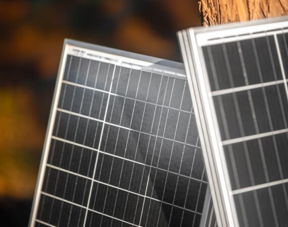 photo 1661997480628 539e2d59fa7d