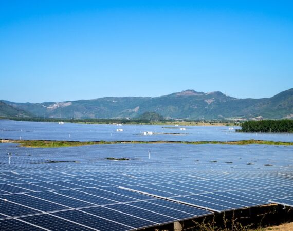 photo 1677137262472 f17cbb543de5