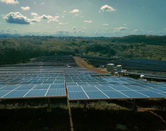 photo 1680355065203 43ad84bb6e69