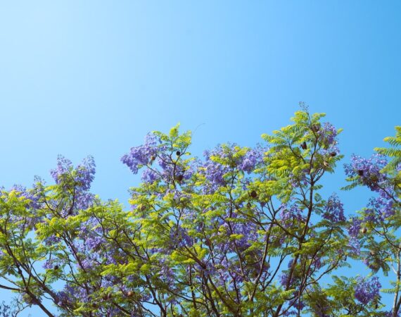 太陽能發電設備的維修與故障排除指南 1 photo 1680458841690 4ee0a818beb6