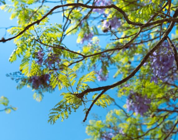 如何延長太陽能系統的壽命:關鍵的維護要點 2 photo 1680458842407 e6ba35e2ff83