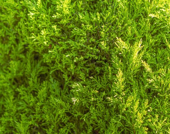 了解太陽能發電站的天氣和自然災害風險 5 photo 1680458842486 cf82f40bd25e