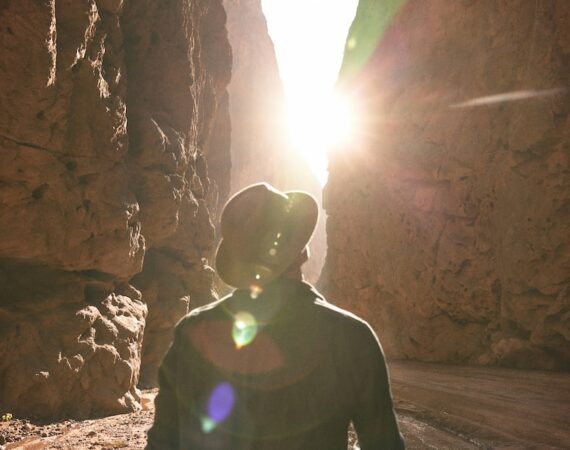 photo 1682685797741 f0213d24418c