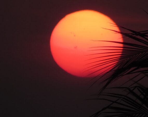 太陽能生產的法規要求和政策支持指南 2 photo 1491304670719 4bd050ba16b2