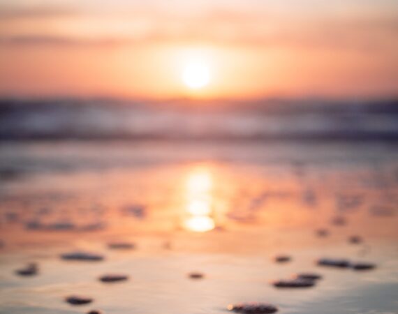 photo 1494459940152 1e911caa8cc5