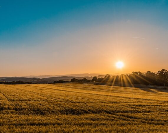 photo 1500382017468 9049fed747ef