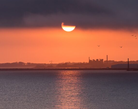 photo 1527865265905 02a9a6864e60