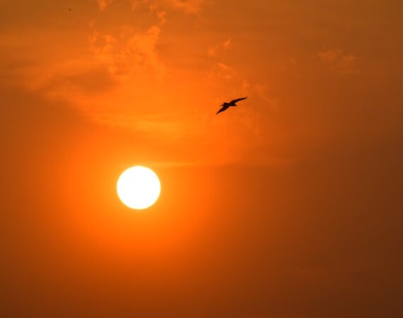 太陽能生產:拓展綠色能源產業 6 photo 1578827262623 ddf174d6d70e