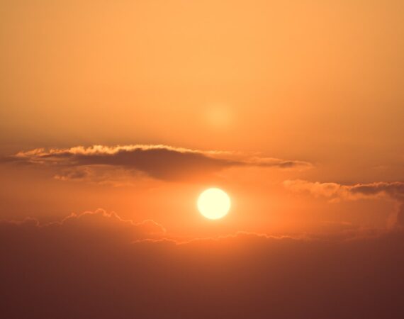 photo 1579502708935 d830ce61a832