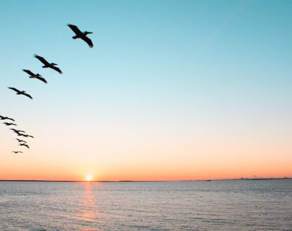 photo 1585541770189 b528969e2123