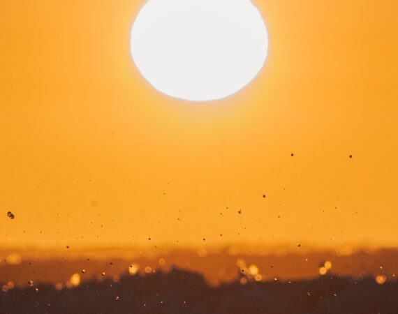 太陽能廠商合作:創造無限能源潛力 2 photo 1596550933221 d77f6500f3b2