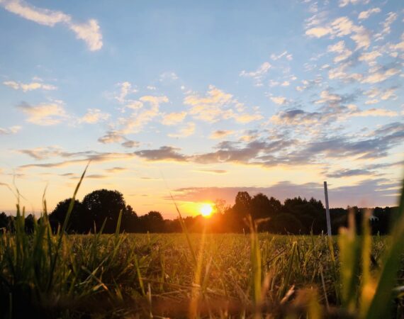 太陽能生產:成功案例分享與經驗談 6 photo 1600399507991 c9f51bc7cc2f