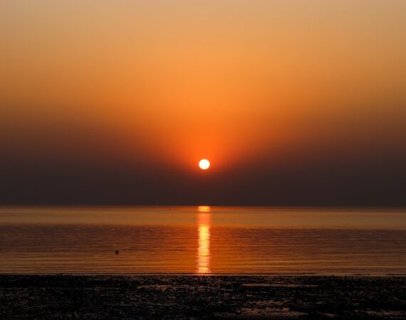 photo 1601984376939 2b071e66420f