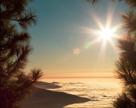 太陽能發電風險管理的關鍵挑戰及應對策略 6 photo 1603263236600 3bef6682f156