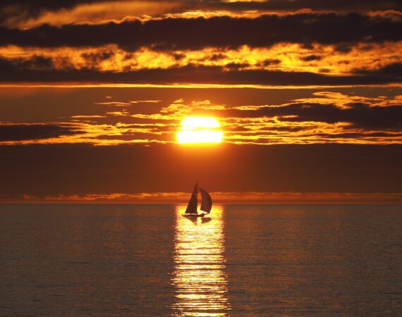 photo 1603662423580 2148984328de