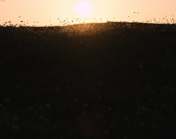 太陽能專案發展與法律風險探討 3 photo 1612086265824 b94dd48a9d89