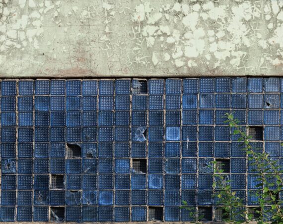 photo 1668415794315 b79960fbca1c