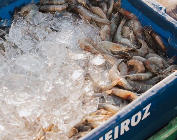 photo 1674658100501 30f1fd201f9b