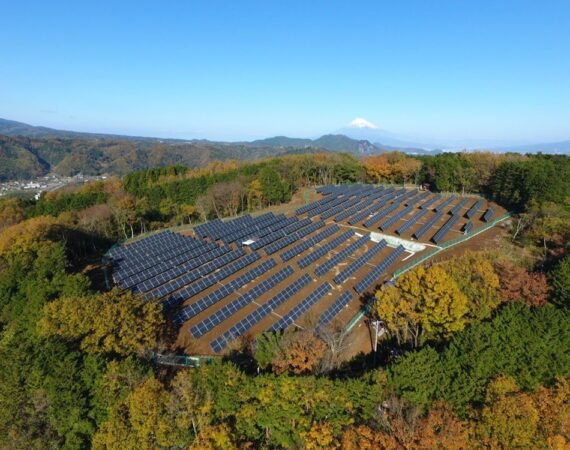 photo 1503495731986 41d521ecbb32